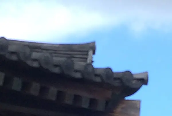 法隆寺五重塔の写真・動画_image_170574