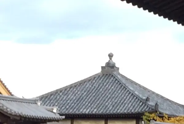 中宮寺の写真・動画_image_170586