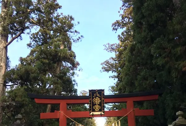 大崎八幡宮の写真・動画_image_171161
