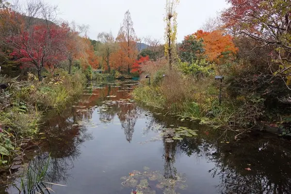 北川村「モネの庭」マルモッタンの写真・動画_image_171708
