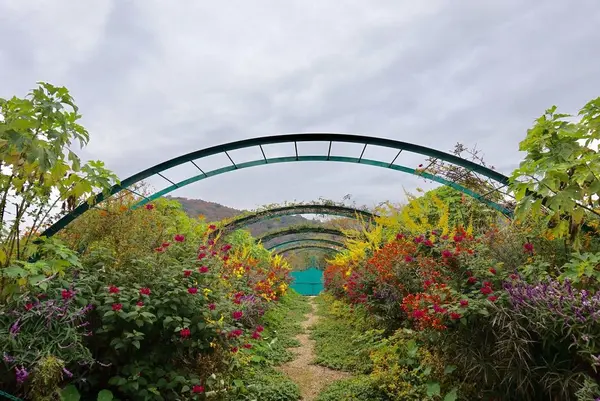 北川村「モネの庭」マルモッタンの写真・動画_image_171712