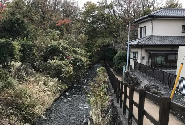 城ケ崎つり橋（門脇灯台）の写真・動画_image_171983