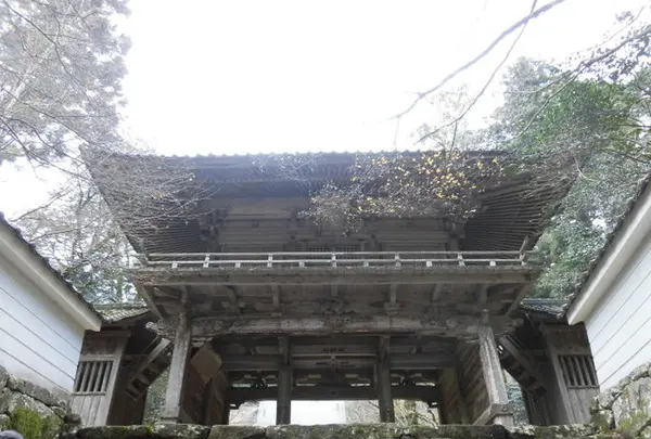 高源寺の写真・動画_image_173582