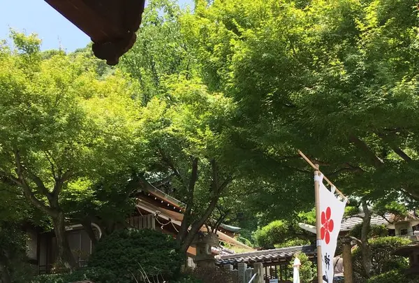 北野天満神社の写真・動画_image_174191