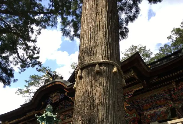 三峯神社の写真・動画_image_174429