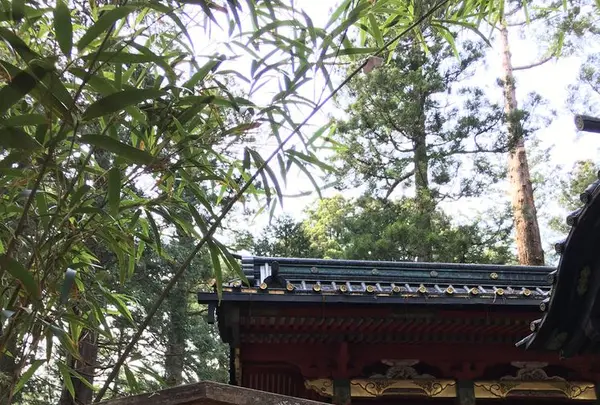 滝尾神社の写真・動画_image_174470
