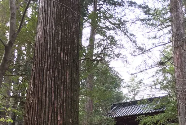 滝尾神社の写真・動画_image_174474