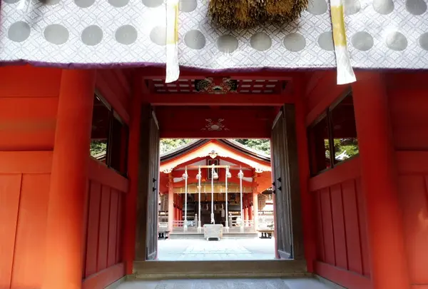 住吉神社の写真・動画_image_174702
