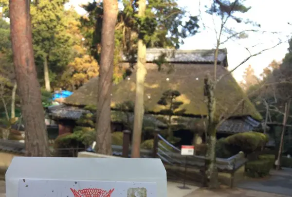 上野城の写真・動画_image_175372