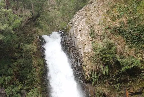 浄蓮の滝の写真・動画_image_175551