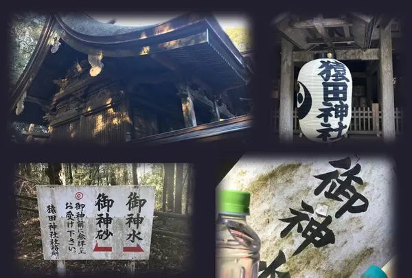 猿田神社の写真・動画_image_175562