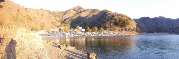 精進湖の写真・動画_image_176088