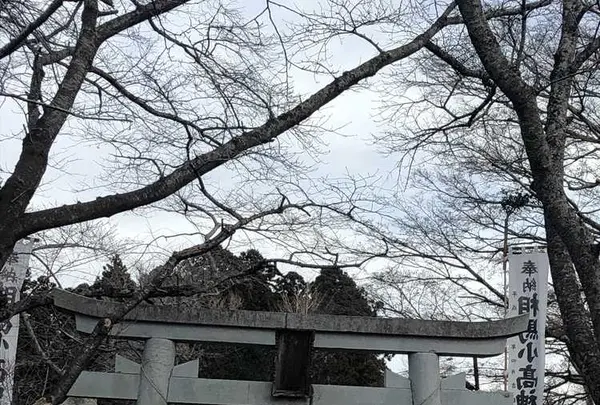 相馬小高神社の写真・動画_image_176103