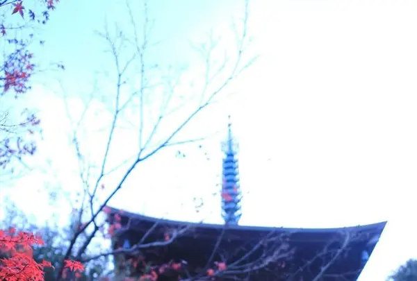 豪徳寺の写真・動画_image_176724