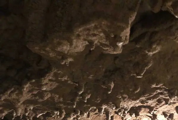 玉泉洞の写真・動画_image_176801