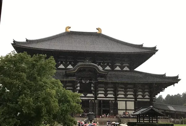 東大寺の写真・動画_image_177047