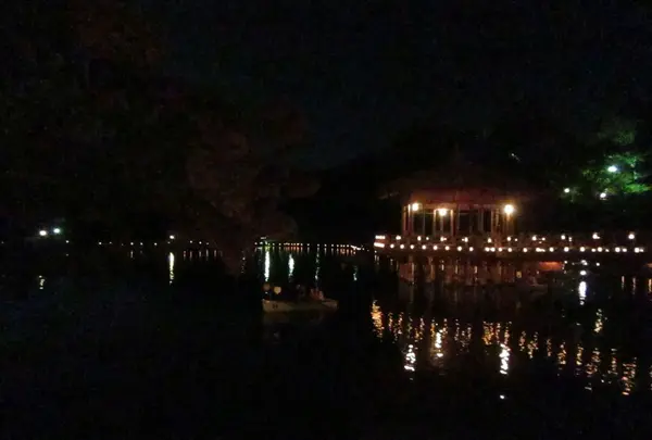 奈良公園 浮見堂の写真・動画_image_177077