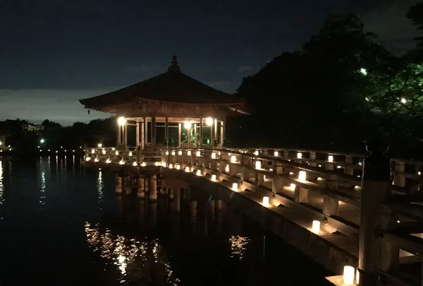 奈良公園 浮見堂の写真・動画_image_177078