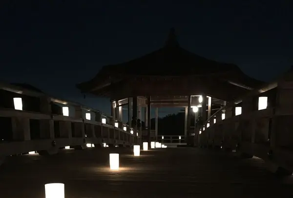 奈良公園 浮見堂の写真・動画_image_177079