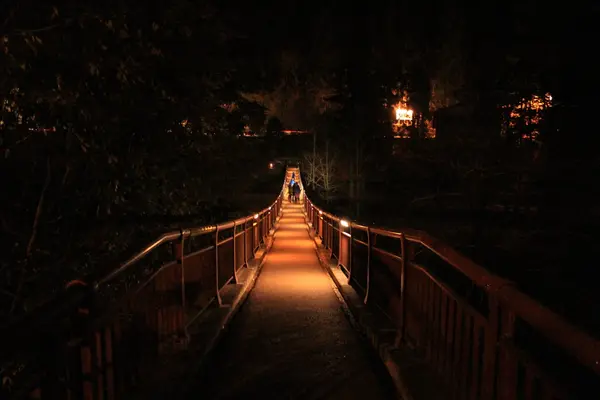 石舟橋の写真・動画_image_177377