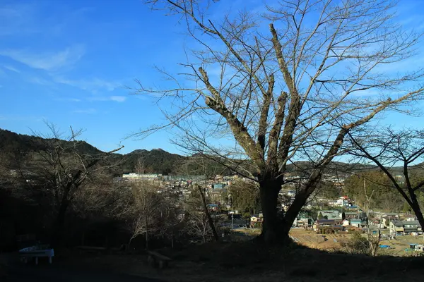 広徳寺の写真・動画_image_177379