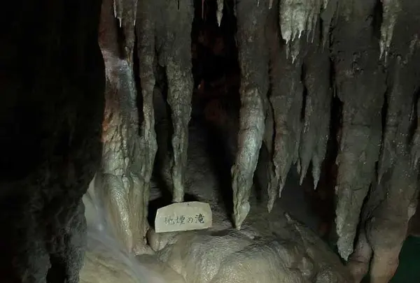 玉泉洞の写真・動画_image_177535