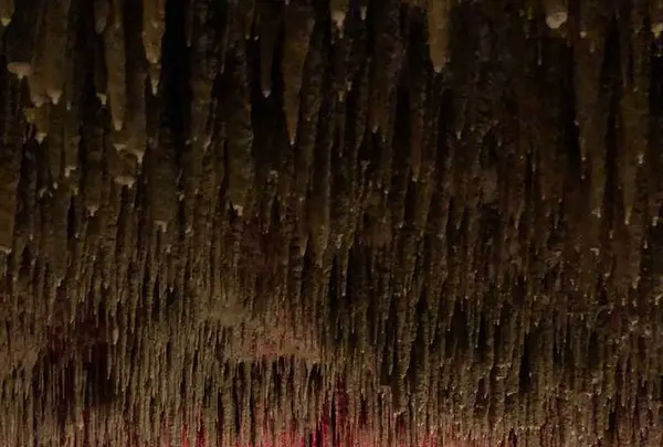 玉泉洞の写真・動画_image_177536