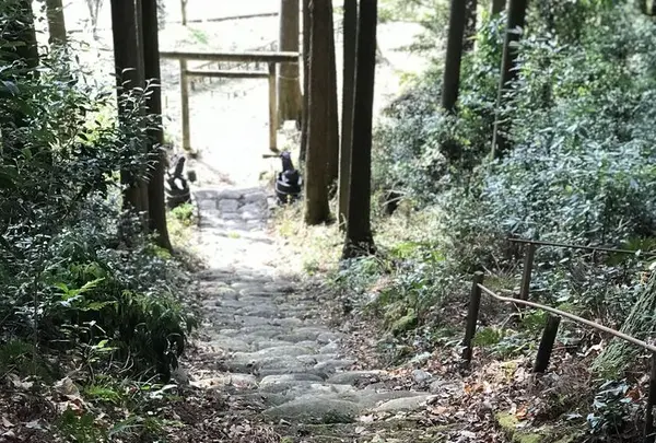 岩戸神社の写真・動画_image_177688