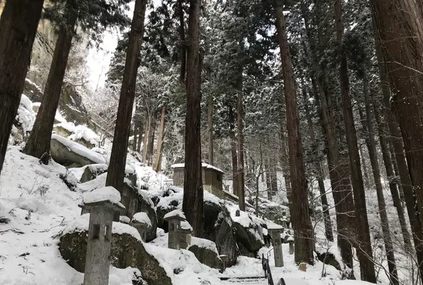 山寺の石段の写真・動画_image_178763