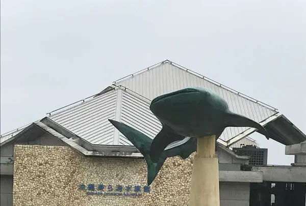 沖縄美ら海水族館の写真・動画_image_179449
