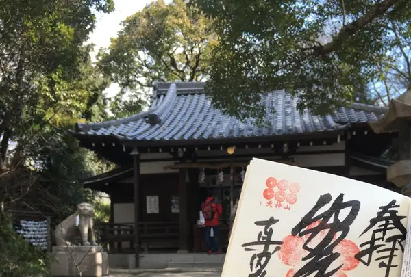 安居神社の写真・動画_image_179536