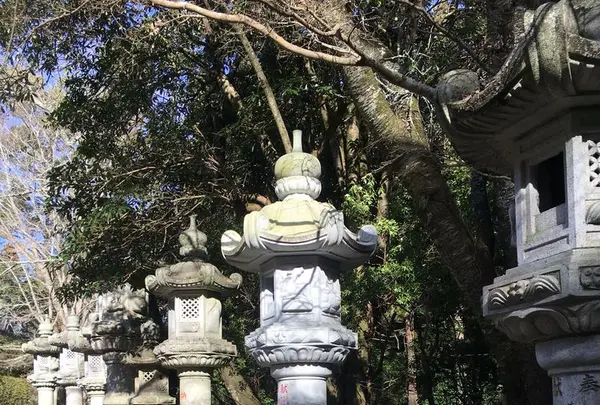 香取神宮の写真・動画_image_180325