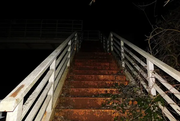 日本平パークウェイの歩道橋の写真・動画_image_181988