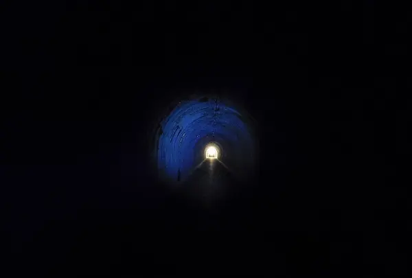 国登録文化財「明治宇津ノ谷隧道」の写真・動画_image_182408