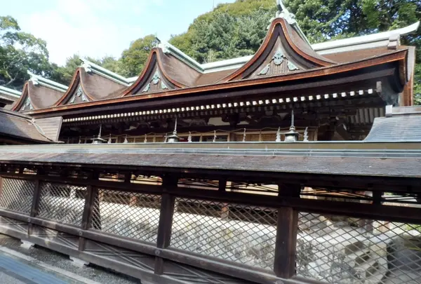 住吉神社の写真・動画_image_182482
