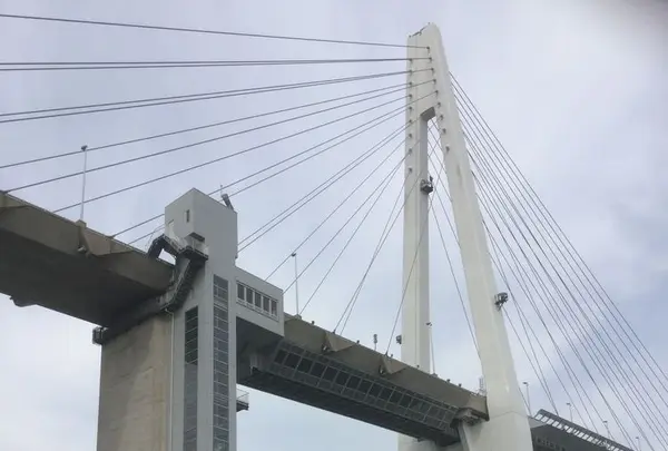 新湊大橋の写真・動画_image_183782
