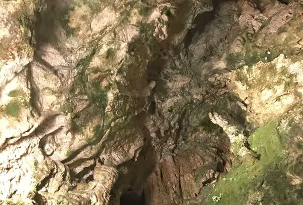 飛騨大鍾乳洞の写真・動画_image_183884