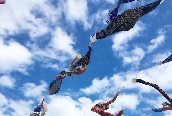 高槻市鯉のぼりフェスタの写真・動画_image_184427