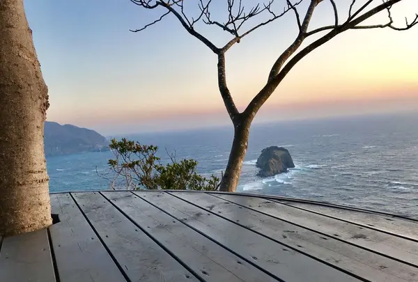 Izu Cliff Houseの写真・動画_image_184654