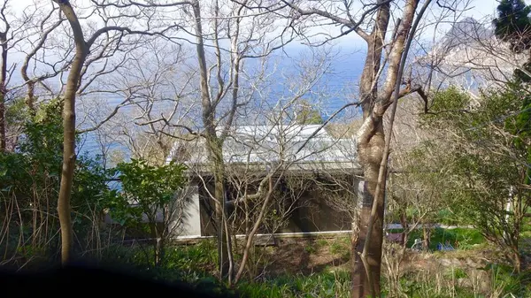 Izu Cliff Houseの写真・動画_image_184674