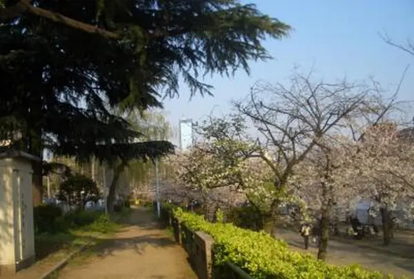桜ノ宮公園の写真・動画_image_185163