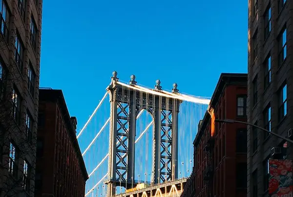 Brooklyn Bridgeの写真・動画_image_185524