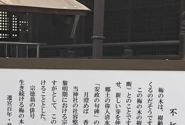 埼玉狭山市広瀬神社の写真・動画_image_186989