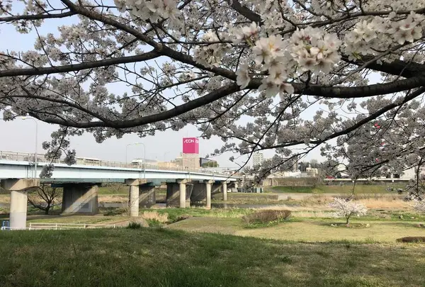 埼玉県狭山市新富士見橋の写真・動画_image_187009