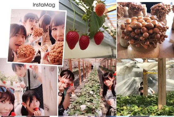 原田農園の写真・動画_image_187037