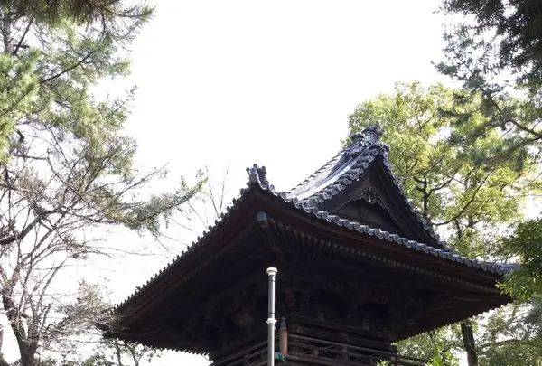 徳源寺の写真・動画_image_187203