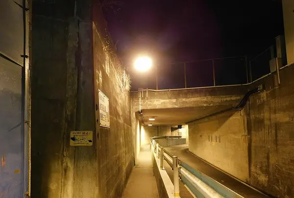 西新井の地下道の写真・動画_image_187309