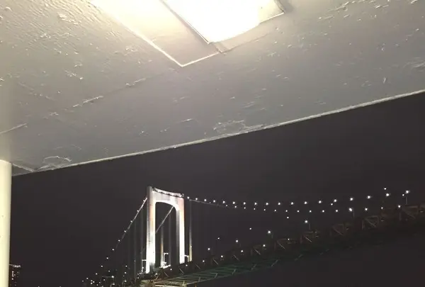 さるびあ丸の写真・動画_image_187358
