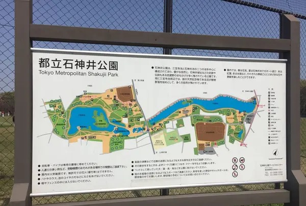 石神井公園へ行くなら おすすめの過ごし方や周辺情報をチェック Holiday ホリデー