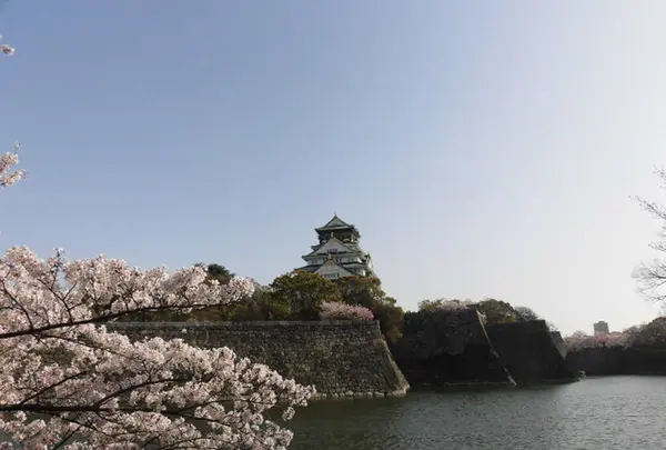 大阪城公園の写真・動画_image_187567